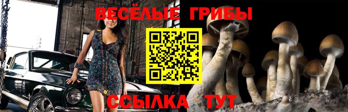 Галлюциногенные грибы прущие грибы Снежинск